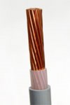 1000510250 CABLE SOLDADURA 1X25